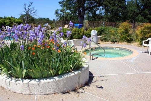 Shenandoah Inn, Major Credit Cards Required For Check In Plymouth Экстерьер фото